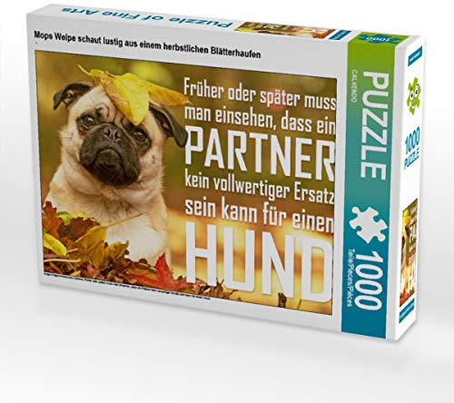 CALVENDO Puzzle Mops Welpe schaut lustig aus einem herbstlichen Blätterhaufen 1000 Teile Lege-Größe 64 x 48 cm Foto-Puzzle Bild Verlag
