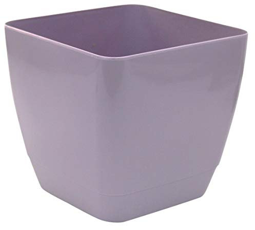Rammento Lot de 4 grands pots de fleurs carrés en plastique pour intérieur/extérieur Violet 20 cm
