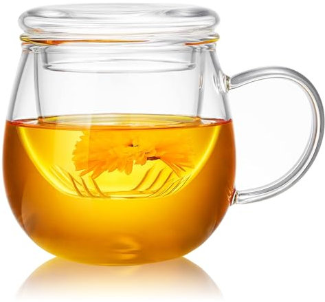 Unbreakable Glass Tea Cup with Infuser and Lid - 17oz Mug for Loose Leaf Tea, Infusion Mug with Glass Filter and Glass Lid