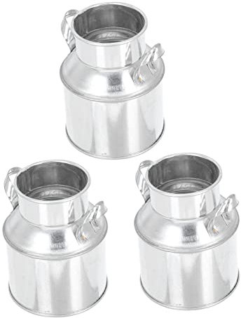 Yardwe Lot De 3 Mini Seaux De Plantation En Fer Galvanisé Style Vintage Pour Décoration Dintérieur Robustes Pour Garçons Et Filles