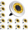 Puncools Solar Lights Outdoor Garden,12 Pack Waterproof Solar Ground Lights for Lawn Pathway Yard Landscape Walkway(Warm White)