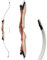 RAGIM Recurvebogen Wildcat 68 (ca. 173 cm) 18 bis 34 lbs 24