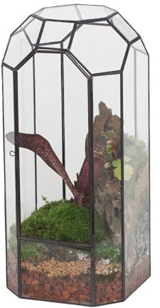 NCYP Glass Geometric Plant Terrarium with Door for Succulent, Orchid, Cacti - 14x14x32.5 CM - Indoor Vintage Tall Octagon Planter, Home Garden Office Tabletop Decoration (Terrarium Only)