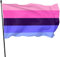 Saisonale und Holiday Yard Flag Banner Omnisexual Omni Sexual Pride Flag Themed Welcome Party Outdoor Outside Decorations Ornament Picks Home House Garden Yard Decor 3 X 5 Ft Small Flag