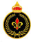 Patch blason fleur de lys, couronne royale et de lauriers, lys royal, emblème fleur de lys, écusson entièrement brodé thermocollant pour customisation de vêtements et accessoires, 9 cm