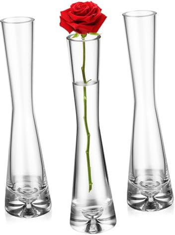 CANIGHT Kleine Glasvasen 3er Satz Für Einzelne Blumen Knospenvasen Zur Dekoration Minimalistischer Stil Tischdeko Aus Glas