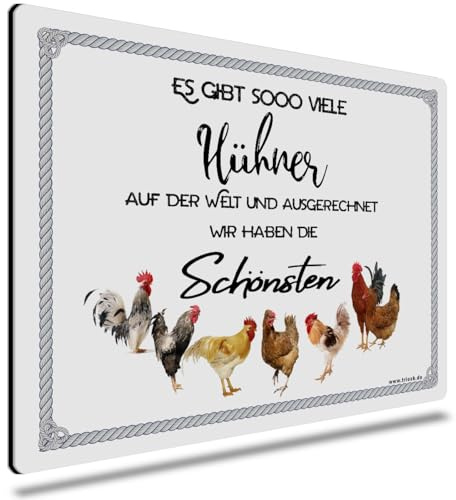 TRIOSK Schild Huhn lustig mit Spruch Es gibt so viele Hühner Blechschild 20x30 cm Metallschild Sprüche Geschenk für Hühnerhalter Landwirte