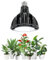 Qoolife 36W Pflanzenlampe Led Vollspektrum, E27 Grow Lampe mit High PPFD Wachstumslampen, 6000K LED Pflanzenlicht für Zimmerpflanzen, Gewächshaus Garten Schwarz