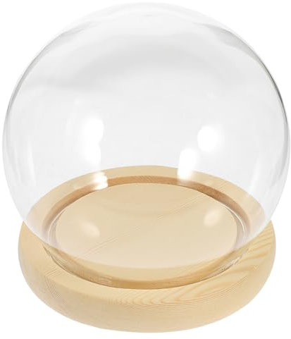 PHENOFICE Ewige Blumen Eleganter Glasglocke Mit Holzsockel Transparente Glaskuppel Für Kreative Tischdekoration Und -landschaften Für Valentinstag Und Besondere Anlässe