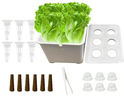 Byuexhp Komplettes Anzucht-Set für die ganze Jahreszeit, Pflanzbox für den Innengarten | für Wohnung, Balkon, Parkett, Hotel, Obstanbau, Salat und