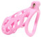 SeLgurFos CB-V2.0 Keuschheitsgürtel Set Rosa Peniskäfig mit 4 Größen Curved Cockringe Abstinenz SM Bondage Chastity Cage Sexspielzeug für Männer