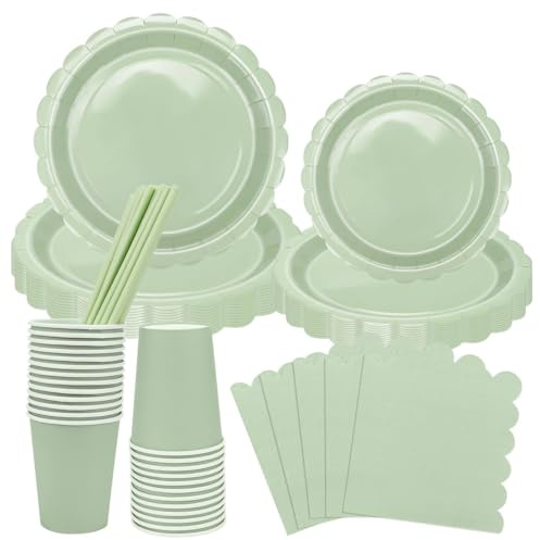 AKONE Lot de 125 assiettes de fête vert sauge pour 25 invités