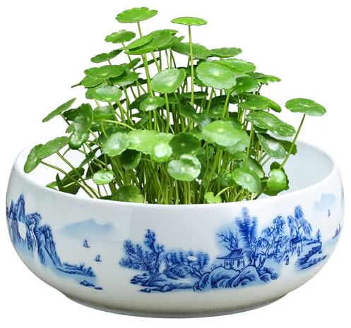 Comebachome Pots 7.87x2.95 Large Shallow Planter Ceramic Bowl Planter Round Glazed Pots for Indoor Outdoor Plants Garden Decorations, Décor extérieur