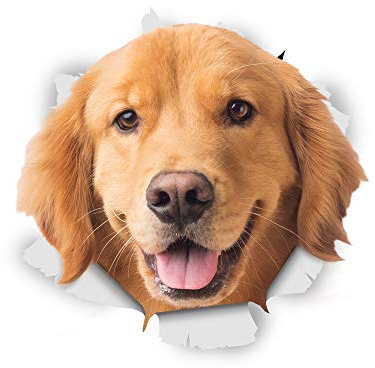 Winston & Bear 3D Dog Stickers - 2 Pack - Happy Golden Retriever Decals for Wall - Fridge - Toilet - Room - Retail Packaged Golden Retriever Dog Stickers
