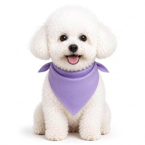Petitebelle Hundehalstuch, einfarbig, Lavendel, Größe M