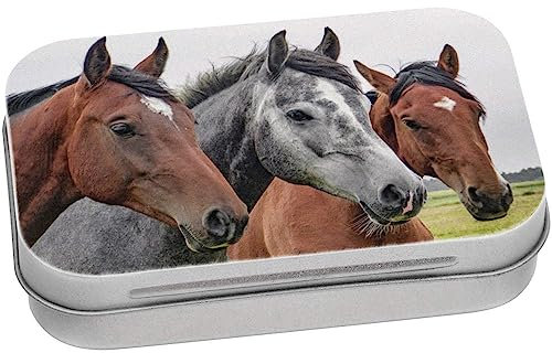 Azeeda 95mm x 60mm 'Pferde' Blechdose/Aufbewahrungsbox (TT00042179)
