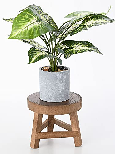 Mini Tabouret en Bois pour Plantes, Supports pour Plantes en Bois, Tabouret de Jardinage, Supports pour Plantes D'intérieur, Support Rond Vintage, Supports de Pots de Fleurs Décoratifs Modernes(#1)