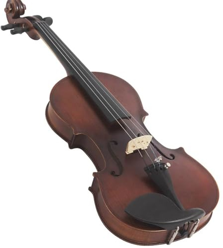 strumento violino Set Di Violini 4/4 Con Custodia Violini In Legno Massello Kit Per Principianti Di Strumenti Musicali Arco Di Violino Corde Di Stoffa Per Pulizia