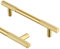 Druvlium Möbelgriffe Gold 10 Stück 128mm Lochabstand Schrankgriffe, Griffe und Küchengriffe