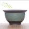 XIALON 9.5cm Semplice Pianta Fleshy Flowerpot Ceramica Da Tavolo Bacino Chlorophytum Comosum