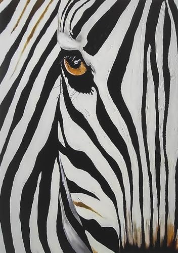 KUSTOM ART Wandposter Zebra Tiere Serie Kunstdruck auf beschichtetes Papier 42x30 cm Ohne Rahmen