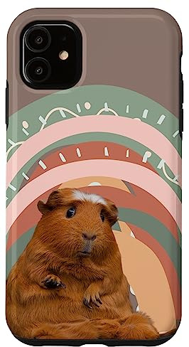 Funny Guinea Pig Rainbow Phone Case for iPhone 11