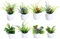 Plantas Miniaturas para Casa de Muñecas,Juego de Accesorios Jardín en Miniatura,Bonsái,1:12 Mini Plantas en Maceta,Planta Artificial Miniatura,para Decorar Mini Jardines,Decoración Casa de Muñecas