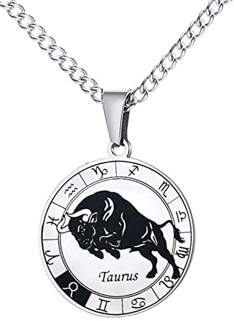 HIJONES Für Männer Runde Münze Sternzeichen Sternzeichen Anhänger Halskette aus Rostfreier Stahl Amulett Halskette Für Frauen Männer Geschenk Stier