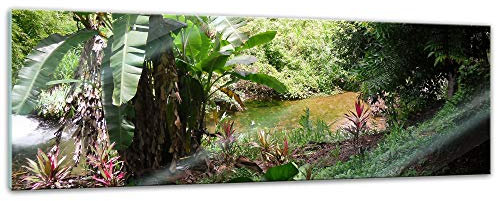 Glasbild - Bananenbaum im Dschungel - 90 x 30 cm - Deko Glas - Wandbild aus Glas - Bild auf Glas - Moderne Glasbilder - Glasfoto - Echtglas - kein Acryl - Handmade