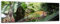 Glasbild - Bananenbaum im Dschungel - 90 x 30 cm - Deko Glas - Wandbild aus Glas - Bild auf Glas - Moderne Glasbilder - Glasfoto - Echtglas - kein Acryl - Handmade