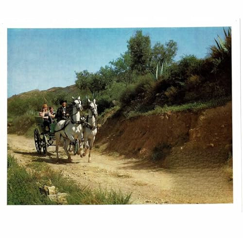 Die letzten vom Rio Bravo - Rod Cameron - 20 Aushangfotos - 24x30cm (1348)