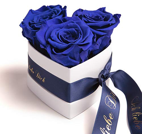ROSEMARIE SCHULZ Heidelberg Infinity Rosenbox Herz - 3 konservierte Blaue Rosen haltbar 3 Jahre 10x12cm (Blau, Small)