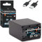 PATONA Platinum NP-FV100A NP-FV100 USB-C Battery 3090 mAh with Direct USB Input (1395), without Restriction of Use HDR CX625 CX730 CX250 PJ810 FDR AX53 AX33 AX100 etc.