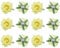 sourcing map 12 Pcs Rose Flower Hair Clips 3 Inch Flower Hair Pins Flower Brooch for Women Hair Accessories Yellow