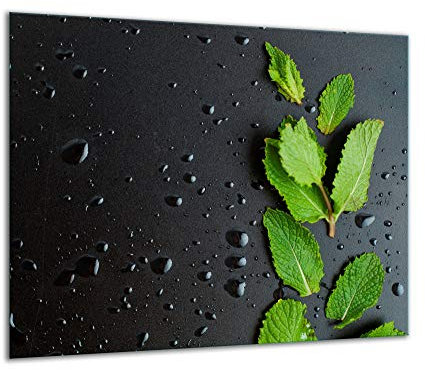 TMK Plaque de recouvrement pour cuisinière, 60 x 52 cm, en verre, pour cuisinières électrique, à induction ; convient comme décoration, protection anti-éclaboussures ou planche à découper, menthe