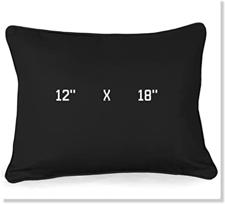 ARLINENS Set of 2 Plain Cotton Cushion Covers 12x18 Inch, Soft Decorative Square Throw Pillow Covers with Invisible Zipper, for Sofa, Bed & Chair (Black)