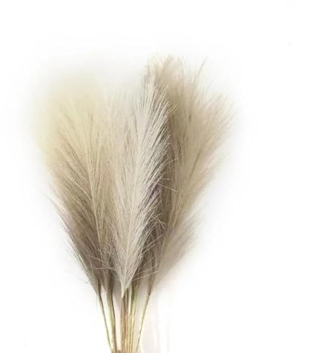 Boho-Dekor, Pampasgras, 50 cm, künstliches Pampasgras, Dekoration, Blumen, Kunstpflanze, Schilfrohr für Blumen, Tische, Hochzeit, Zuhause, Weihnachtsdekoration, gemischt, 6 Stück
