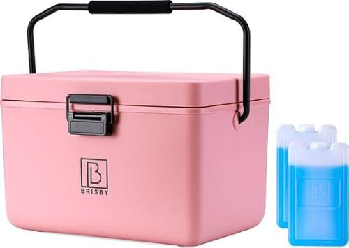 Brisby Kühlbox 12 Liter - Kühlbox ohne Strom, 40 Stunden kühl, Inklusive 2 große Kühlelemente 200ML, mit Schneidbrettern, vielseitige cool Box, 22 x 33 cm