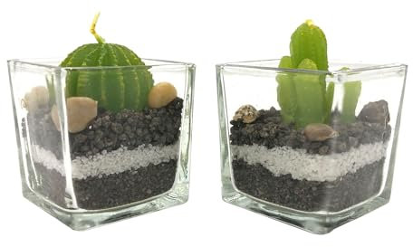 THE REPLICANT Lot de 2 Bougies Parfumées Forme Cactus avec Verrine/Dimension : 5,3 x 5,5 cm