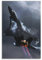 F-15 Militär-Poster, Flugzeug-Wanddekoration, moderne Kampffiger-Wandkunstdrucke, coole Poster für Jungenzimmer, Badezimmer, Schlafzimmer, Büro, Leinwandbild, fertig zum Aufhängen, 40 x 60 cm