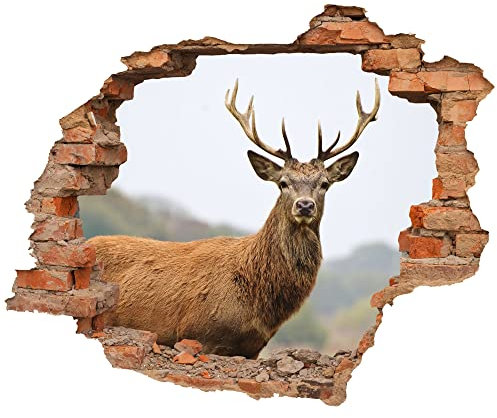 WCB Wandtattoo - Wanddurchbruch mit Aussicht auf Hirsch 70 x 57 cm - Wandsticker