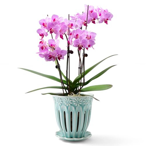 SUADEN 12,7 cm Keramik-Orchideentöpfe mit Löchern, Drainage und separater Untertasse