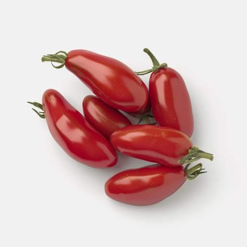 50 Tomatensamen San Marzano SemiSauvage Permaculture