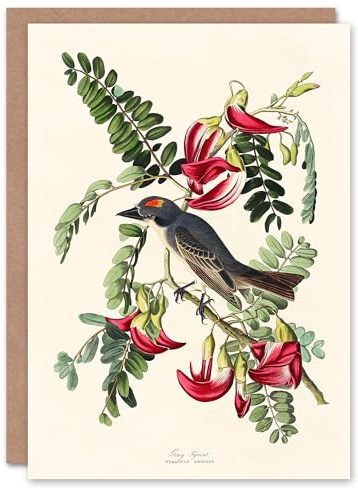Artery8 John James Audubon Art Card Birds of America Piping Flycatcher