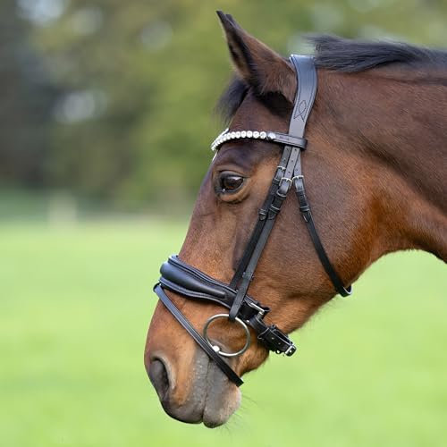 Heinick Trense Custom Zaumhaken Schwarz Schnellwechselsystem ~ Warmblut ~