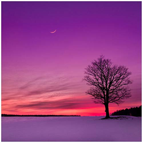Wallario Glasbild Mond und Baum am Abend bei Schnee - 55 x 55 cm Wandbilder Glas in Premium-Qualität: Brillante Farben, freischwebende Optik