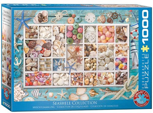 empireposter 1000 Teile Puzzle - Puzzle - Maritime Muschelsammlung + Puzzle Alu Rahmen für 1000er
