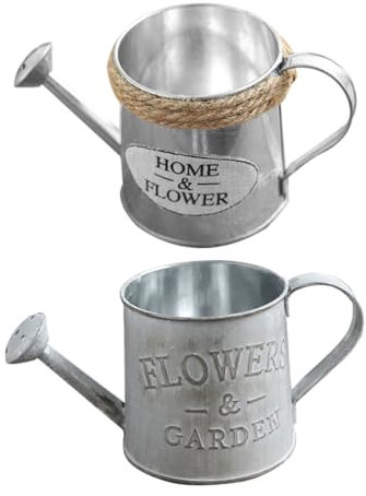 DECHOUS 2 Piezas Regadera De Hojalata Regadera De Hierro Florero del País Jarrón De Flores Jarrón De Regadera Galvanizado Regadera De Granja De De Hierro Jugoso Niño Cactus Planchar