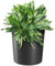 KADAX Blumentopf, eleganter Übertopf mit Einlage, Topf, Gartenschale, Blumenkübel, Blumentopfschutz für Wohnzimmer, Büro (Graphit, ⌀ 25cm)