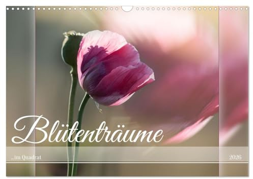 Blütenträume - im Quadrat (Wandkalender 2026 DIN A3 quer), CALVENDO Monatskalender: Verliebe dich in die zauberhafte Welt der Blüten (CALVENDO Natur)